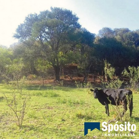 Campo de 2 hectáreas en Unquillo, Córdoba