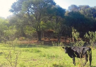 Campo de 2 hectáreas en Unquillo, Córdoba